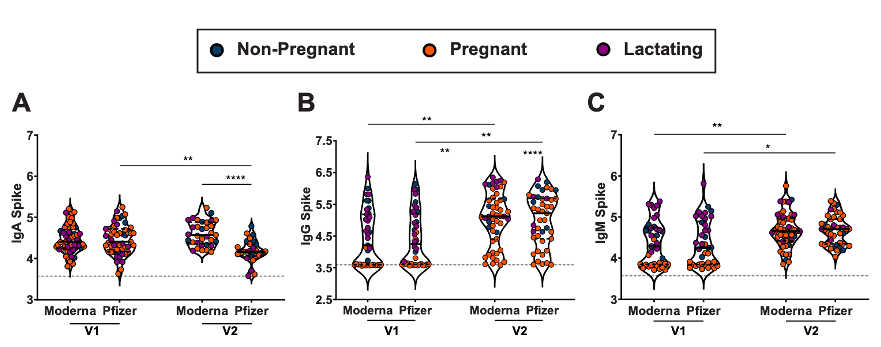 Pfizer kontra Modernas vaccin effekt gravida
