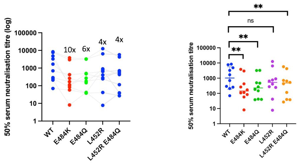 GuptaR_Lab B1617 preliminary findings (unpublished)